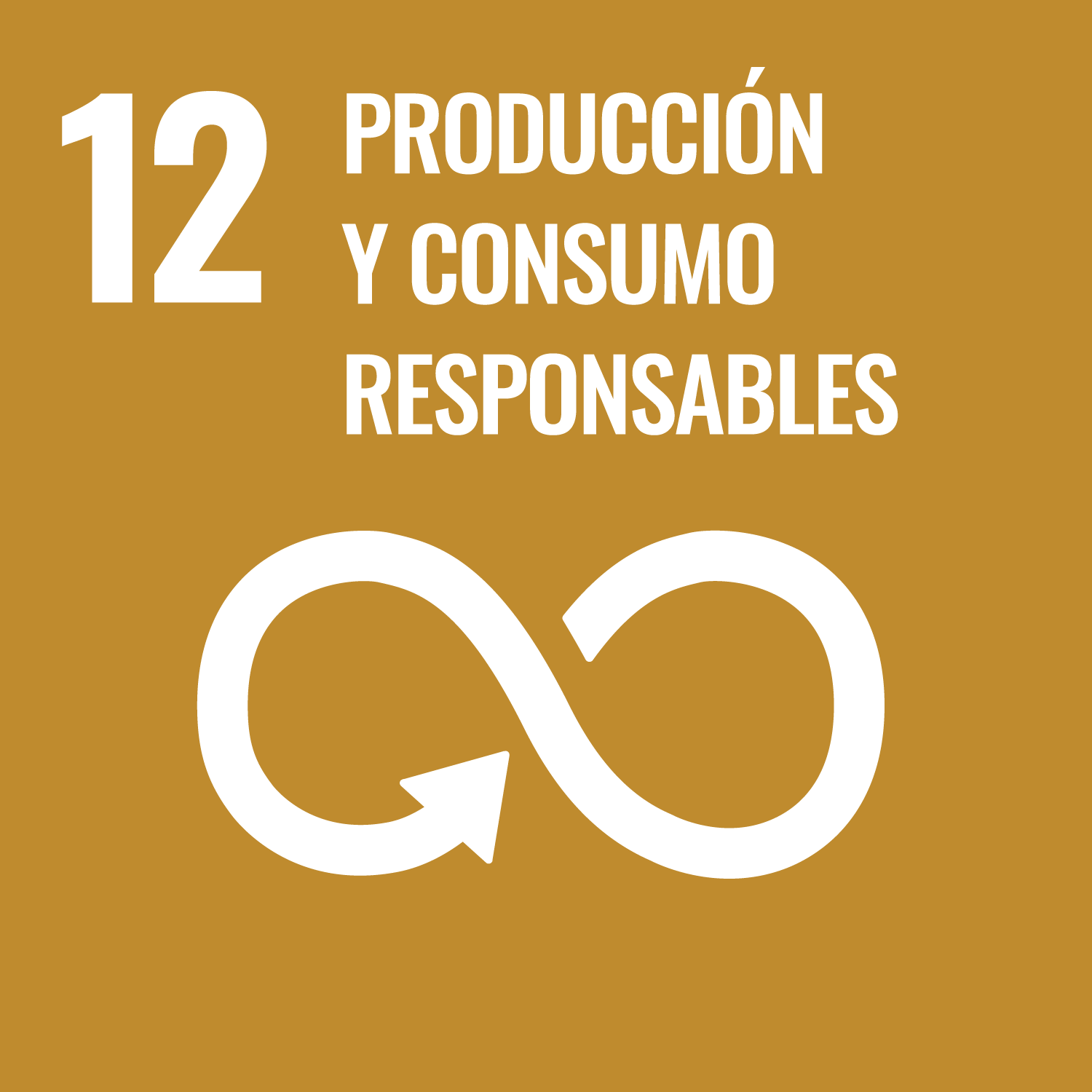 ODS 12 Producción y Consumo Responsable