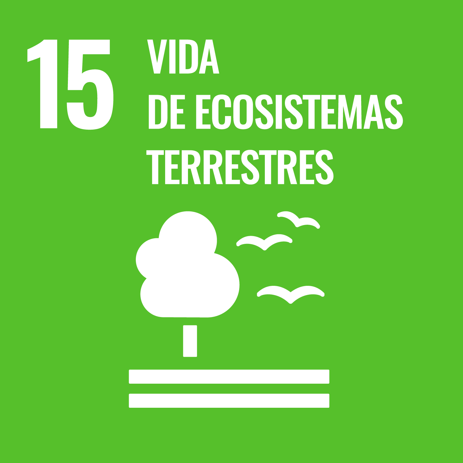 ODS 15 Vida de Ecosistemas Terrestres